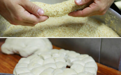 Συνταγή για κριτσίνι λιόσπορο