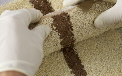 Οφέλη από την κατανάλωση βρώμης