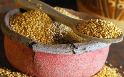 Κινόα, ένας Πρωτεϊνούχος Σπόρος