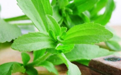 Στέβια, η νέα Ζάχαρη!