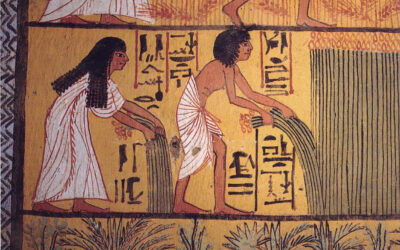 Το ψωμί…σε βάθος 8.000 χρόνων!