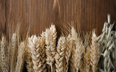 Τροφές ολικής άλεσης. Οι ευεργέτες της γραμμής μας