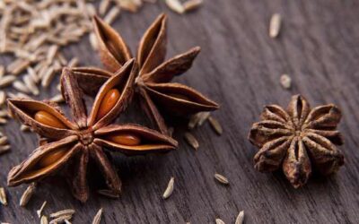 Γνωρίζοντας τον γλυκό Γλυκάνισο