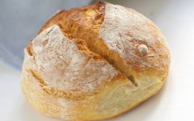 Φυτικές ίνες: Ποιες είναι πραγματικά;