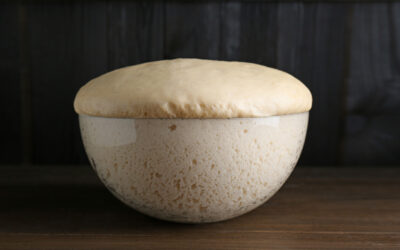 Διαχείριση της μαγιάς το καλοκαίρι