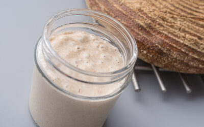 Κατανοώντας το προζύμι. Παράγοντες που επηρεάζουν την ωρίμανσή του.