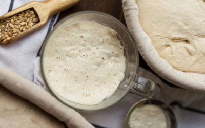 Φυσικό Προζύμι